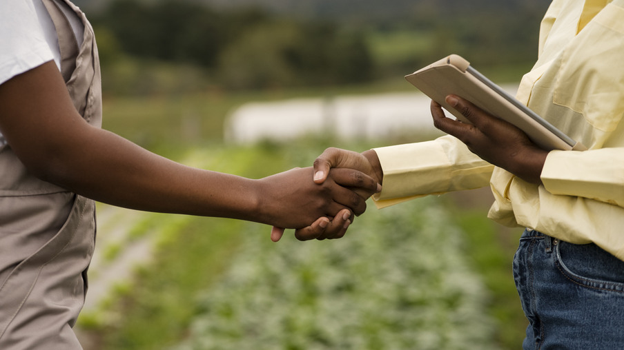 Foto focada em duas mãos em cumprimento com uma horta ao fundo. Foto focada em duas mãos em cumprimento com uma horta ao fundo.