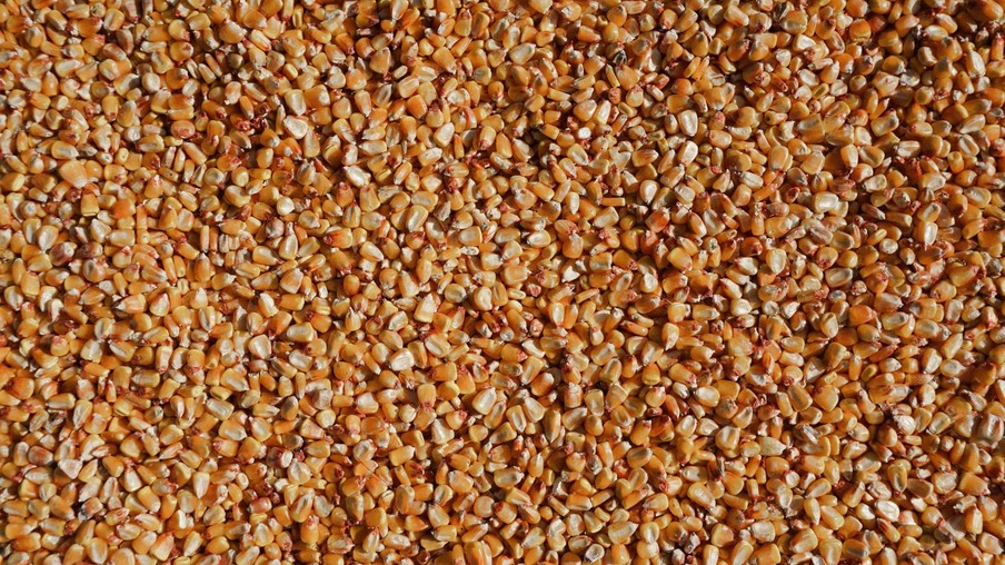 Vendedores estão atentos a impactos do clima sobre importantes regiões produtoras | Foto: Lucut Razvan/Unsplash Vendedores estão atentos a impactos do clima sobre importantes regiões produtoras | Foto: Lucut Razvan/Unsplash