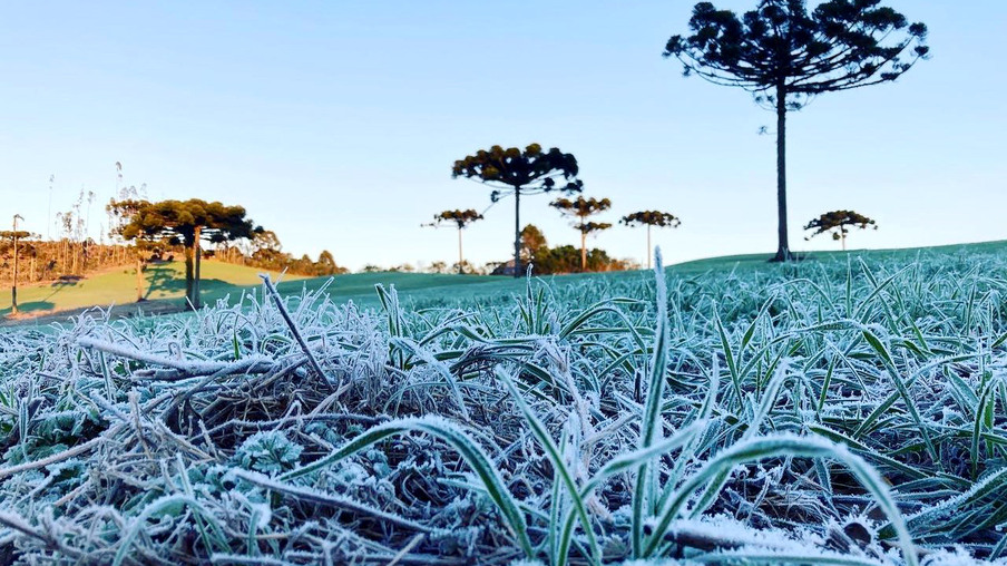 Campo com geada no Paraná Campo com geada no Paraná