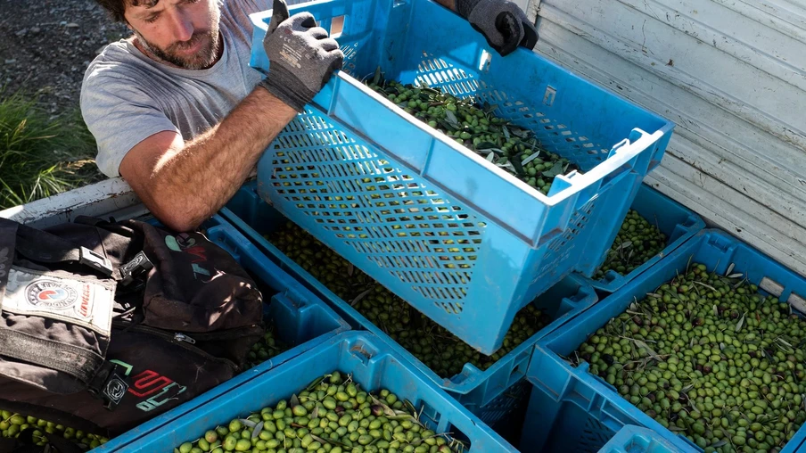 Foto: Marco Bertorello/CP/Divulgação Foto: Marco Bertorello/CP/Divulgação