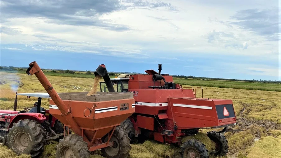 Foto de colheitadeira de arroz despejando grãos em carreta graneleira. Foto de colheitadeira de arroz despejando grãos em carreta graneleira.