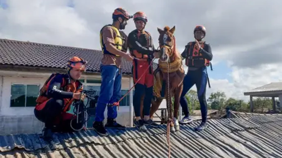 Foto de profissionais em cima de telhado com égua. Foto de profissionais em cima de telhado com égua.