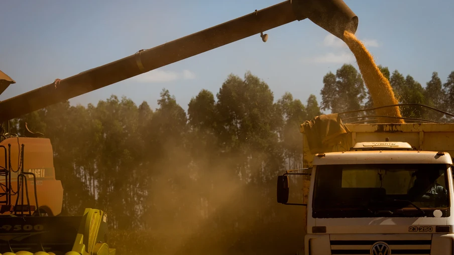 Foto de colheitadeira despejando grãos de milho em carreta de caminhão. Foto de colheitadeira despejando grãos de milho em carreta de caminhão.