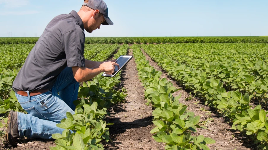 Foto de homem com boné ajoelhado sobre plantas de soja enquanto segura um tablet. Foto de homem com boné ajoelhado sobre plantas de soja enquanto segura um tablet.