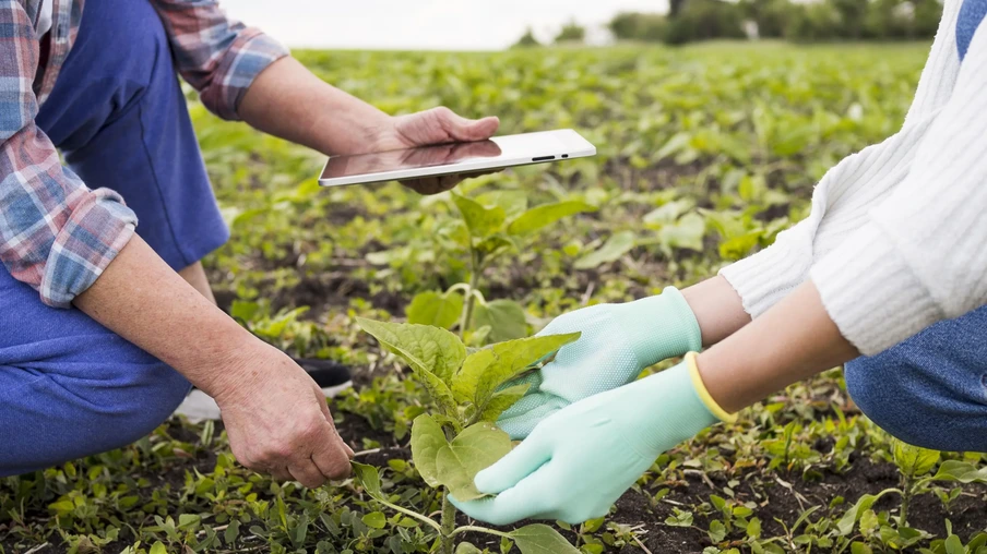A foto motra duas pessoas agachadas. Uma delas está segurando um tablet enquanto outra está tocando uma planta que está no centro. O rosto delas não aparece na foto. A foto motra duas pessoas agachadas. Uma delas está segurando um tablet enquanto outra está tocando uma planta que está no centro. O rosto delas não aparece na foto.
