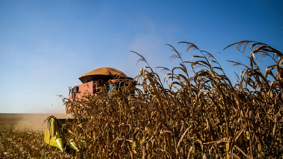 Foto de colheitadeira avançando sobre lavoura de milho. Foto de colheitadeira avançando sobre lavoura de milho.