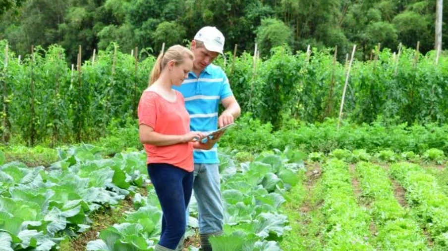 Os técnicos dos escritórios municipais da Epagri estão aptos para apoiar os agricultores catarinenses através da elaboração de planos de crédito | Foto: Epagri/Divulgação Os técnicos dos escritórios municipais da Epagri estão aptos para apoiar os agricultores catarinenses através da elaboração de planos de crédito | Foto: Epagri/Divulgação