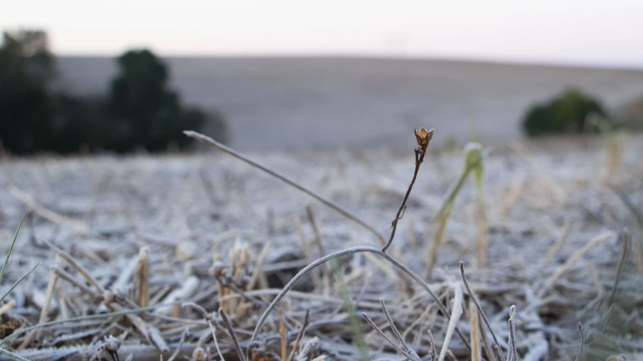 Foto de área coberta por geada. Foto de área coberta por geada.