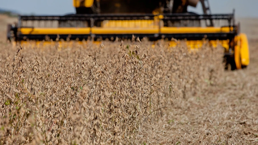 Foto de colheitadeira amarela avançando em lavoura de soja. Foto de colheitadeira amarela avançando em lavoura de soja.