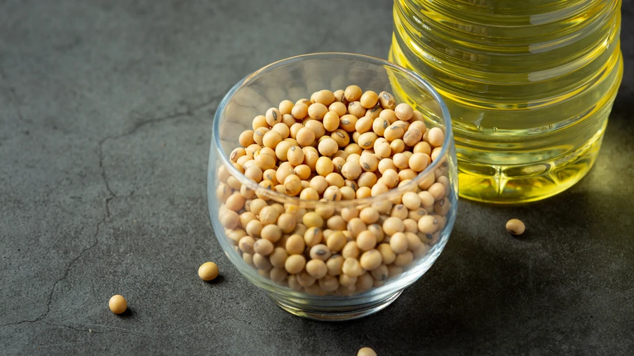 Foto de grãos de soja em recipiente em frente a garrafa com óleo amarelo. Foto de grãos de soja em recipiente em frente a garrafa com óleo amarelo.