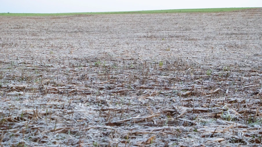 Foto de área agrícola coberta por geada. Foto de área agrícola coberta por geada.