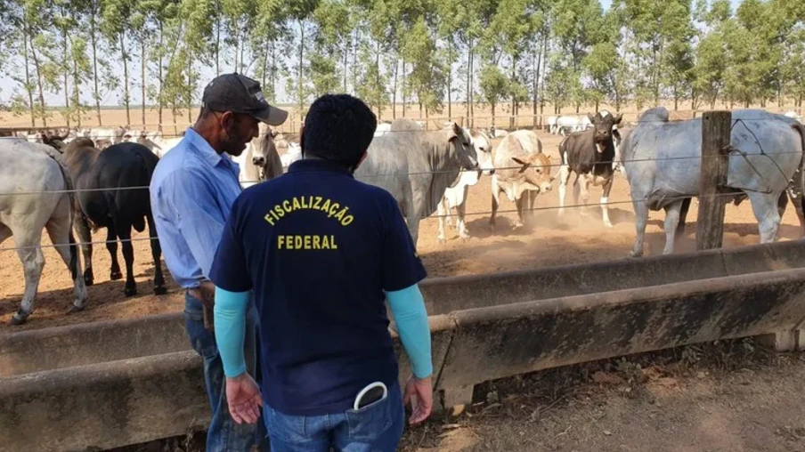 Foto de fiscal federal e homem de costas com bovinos ao fundo. Foto de fiscal federal e homem de costas com bovinos ao fundo.