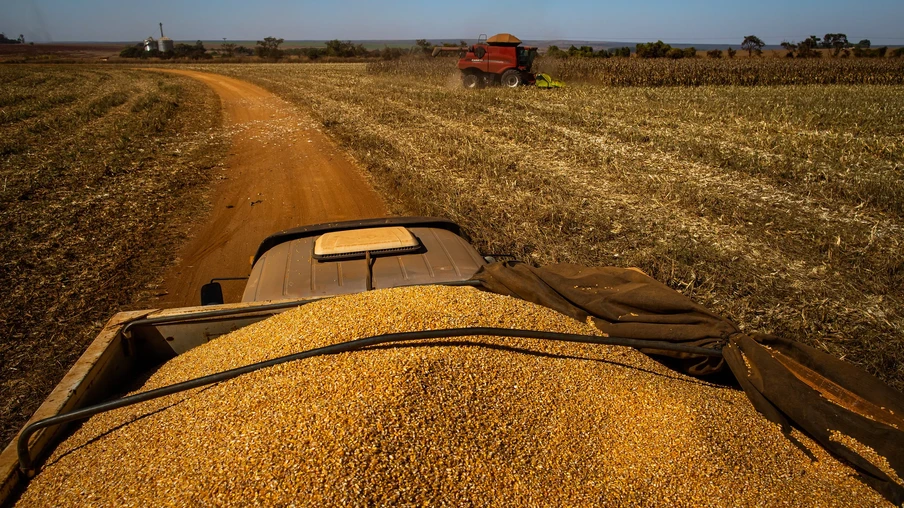 Foto de carreta com grãos de milho. Foto de carreta com grãos de milho.