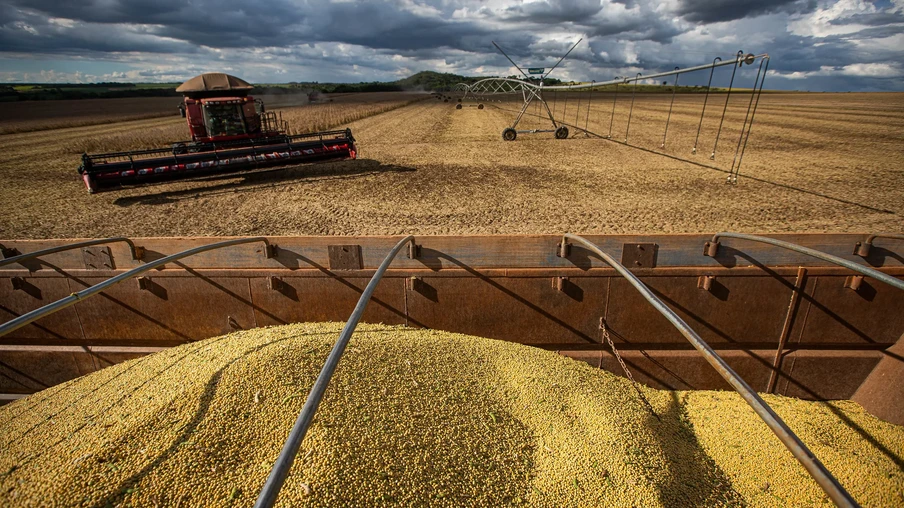 Foto de grãos de soja dentro de carreta. Ao fundo, vemos uma colheitadeira vermelha em lavoura de soja. Foto de grãos de soja dentro de carreta. Ao fundo, vemos uma colheitadeira vermelha em lavoura de soja.