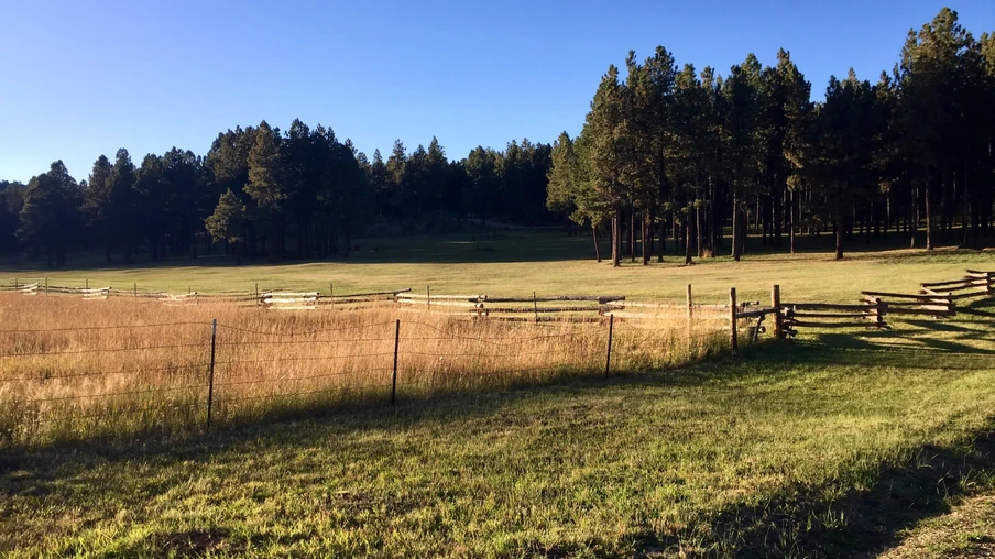 Foto de cerca em área agrícola. Foto de cerca em área agrícola.