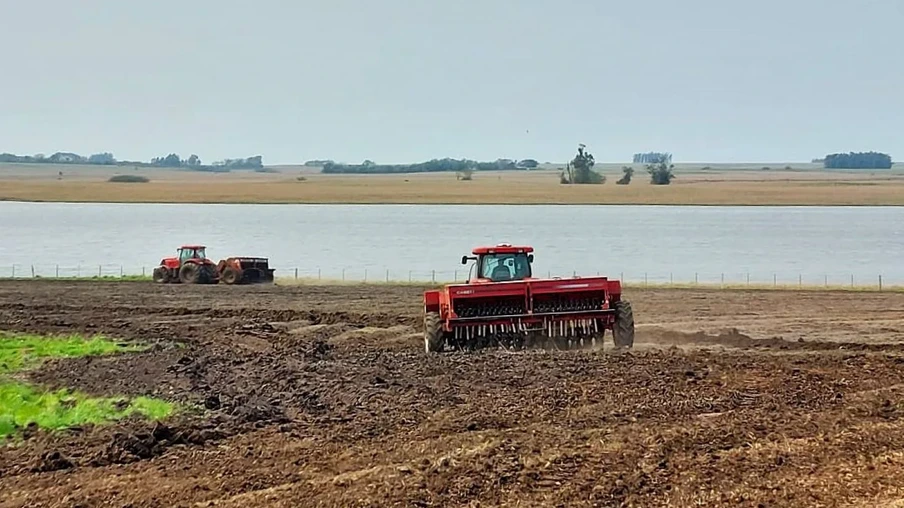 Foto de máquinas vermelhas realizando a semeadura do arroz perto de rio ou lago. Foto de máquinas vermelhas realizando a semeadura do arroz perto de rio ou lago.