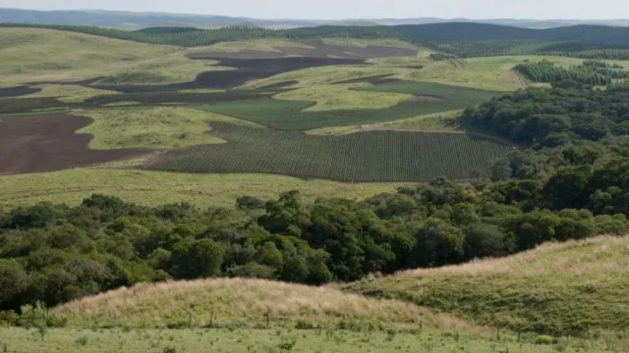 Foto de área dos campos naturais com agricultura e produção de pinus. Foto de área dos campos naturais com agricultura e produção de pinus.