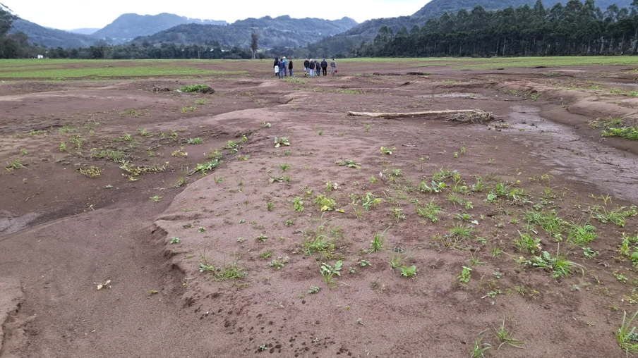 Foto de solo agrícola com poucas plantas. Foto de solo agrícola com poucas plantas.