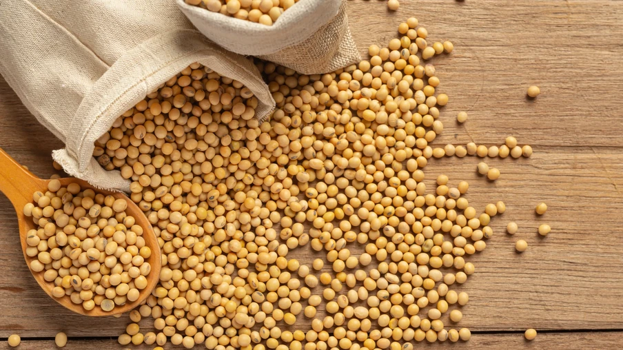 Grãos de soja Grãos de soja