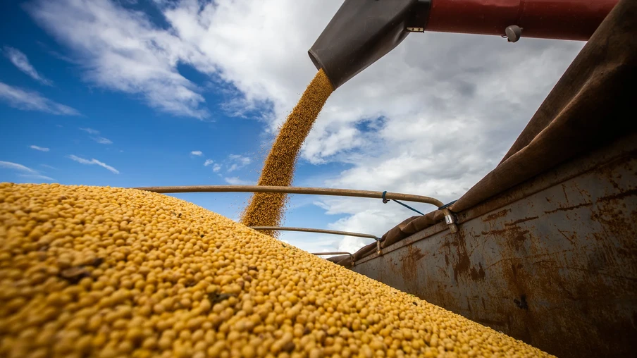 Foto de grãos de soja em carreta. Mais grãos estão sendo despejados. Foto de grãos de soja em carreta. Mais grãos estão sendo despejados.