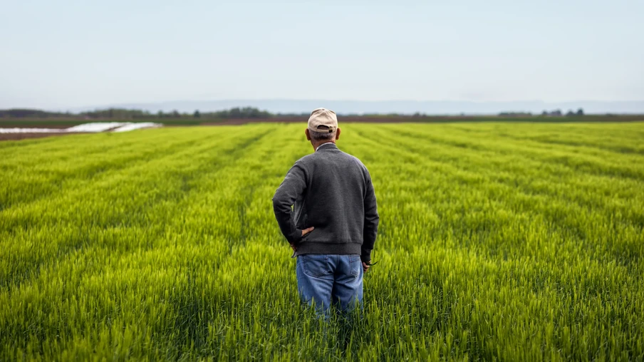 Foto de homem de costas, parado no meio do lavoura com a mão esquerda na cintura. Ele usa boné, blusão cinza e calça jeans. Foto de homem de costas, parado no meio do lavoura com a mão esquerda na cintura. Ele usa boné, blusão cinza e calça jeans.