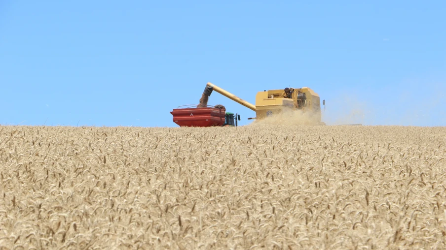 Foto de colheitadeira em lavoura de trigo despejando grãos em carreta graneleira. Foto de colheitadeira em lavoura de trigo despejando grãos em carreta graneleira.