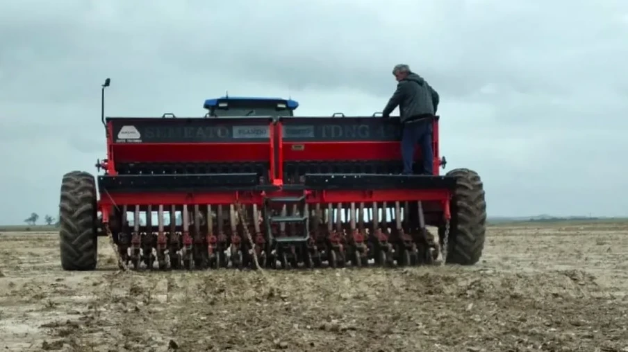 Foto de sementeira de arroz em lavoura. Foto de sementeira de arroz em lavoura.