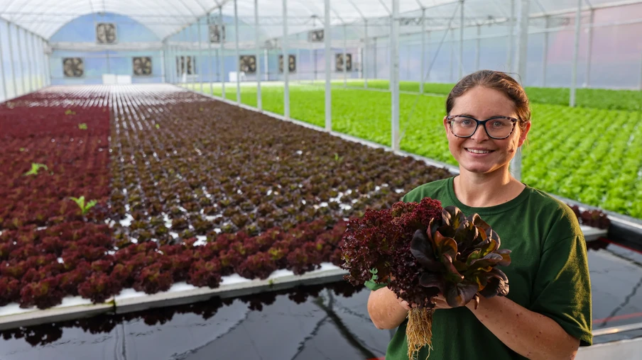 Foto de mulher segurando uma alface em frente a horta. Ela é branca, usa óculos e camiseta verde e está sorrindo. Foto de mulher segurando uma alface em frente a horta. Ela é branca, usa óculos e camiseta verde e está sorrindo.