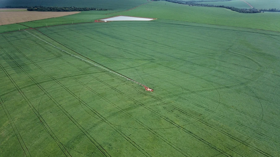 Foto aérea de lavoura de soja. Foto aérea de lavoura de soja.