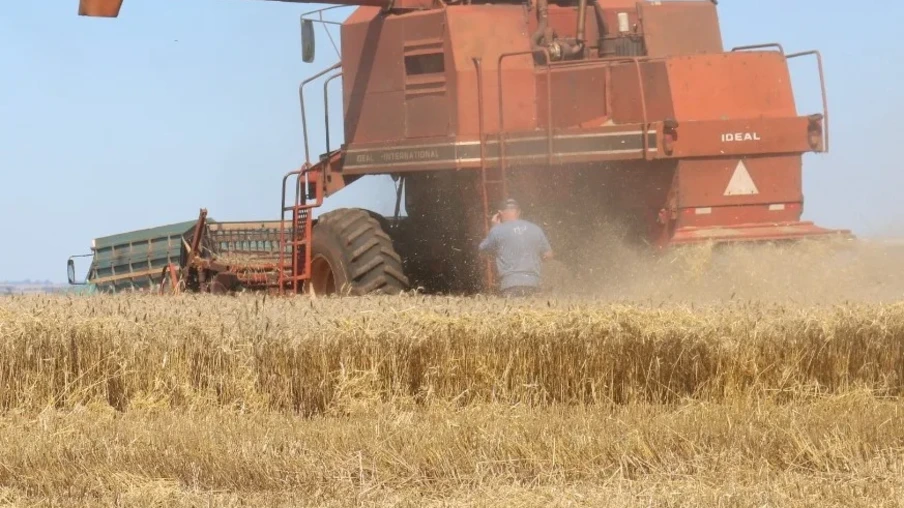 Foto de colheitadeira vermelha em lavoura de trigo. Um homem está de pé parado perto dela. Foto de colheitadeira vermelha em lavoura de trigo. Um homem está de pé parado perto dela.