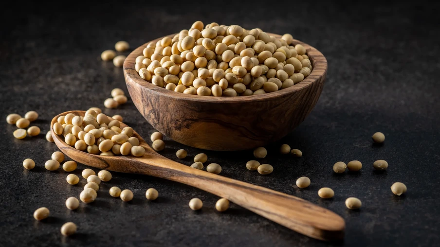 soja numa tigela e uma colher no lado soja numa tigela e uma colher no lado