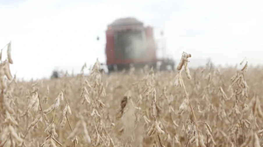 Colheita da soja Colheita da soja