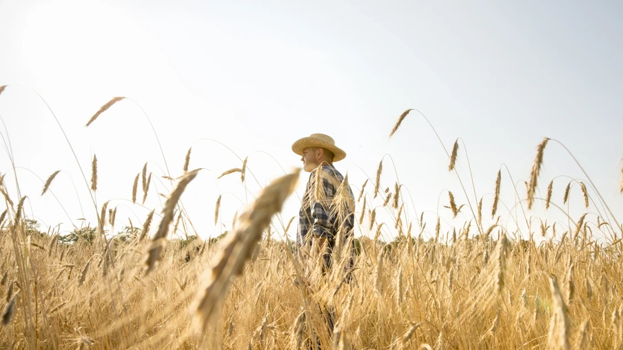 Homem vestindo uma camisa xadrez e um chapéu em pé em uma lavoura. Homem vestindo uma camisa xadrez e um chapéu em pé em uma lavoura.