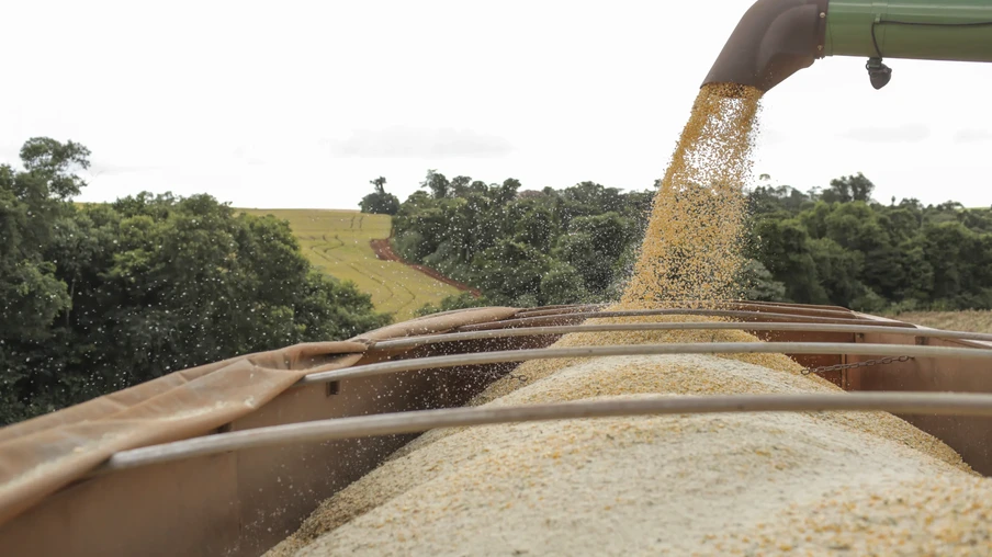 Colheitadeira descarregando grãos em um caminhão Colheitadeira descarregando grãos em um caminhão
