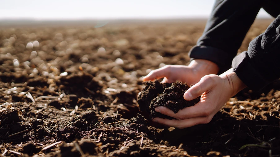 A caracterização é essencial para tomada de decisões sobre o manejo sustentável dos solos e dos sistemas de produção agropecuários | Foto: Banco de Imagens A caracterização é essencial para tomada de decisões sobre o manejo sustentável dos solos e dos sistemas de produção agropecuários | Foto: Banco de Imagens