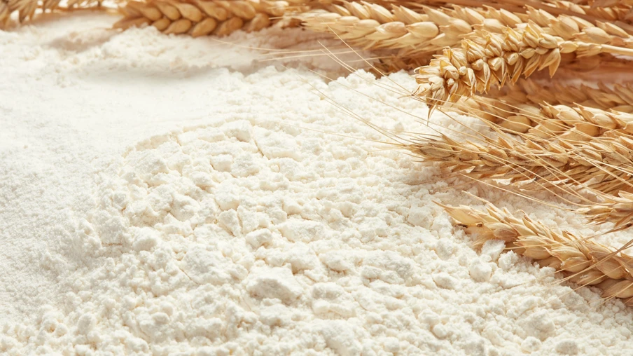 Foto de farinha de trigo ao lado de espigas de trigo. Foto de farinha de trigo ao lado de espigas de trigo.