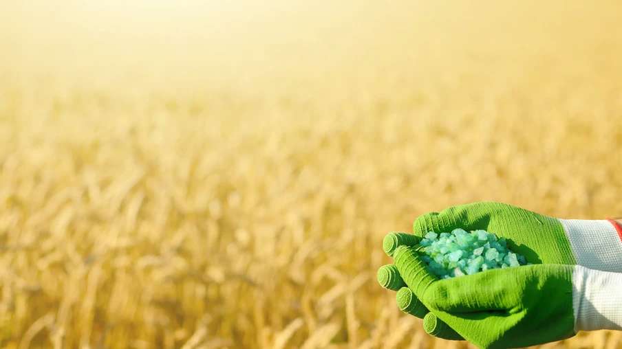 Agricultor segura fertilizantes nas mãos com campo de trigo ao fundo. Agricultor segura fertilizantes nas mãos com campo de trigo ao fundo.