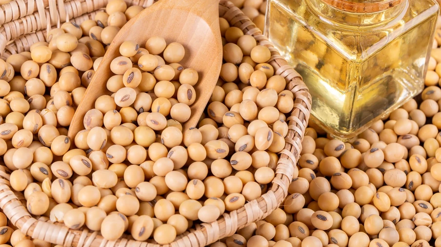 Grãos e óleo de soja Grãos e óleo de soja