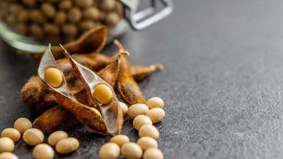 Grãos de soja Grãos de soja