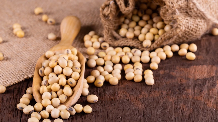 Grãos de soja Grãos de soja