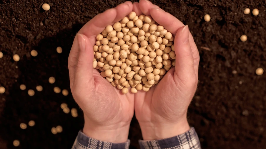 Sem novidades, mercado recua com foco no fundamentos | Foto: Banco de Imagens Sem novidades, mercado recua com foco no fundamentos | Foto: Banco de Imagens