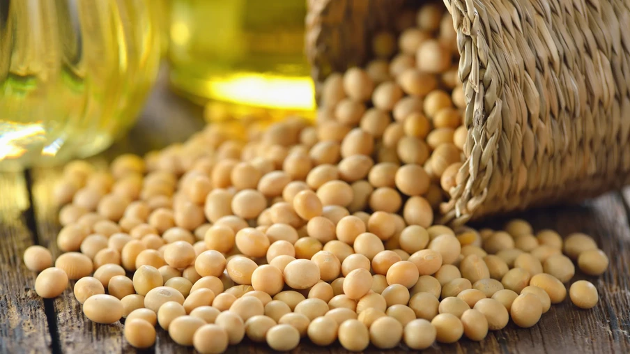 Grãos de soja Grãos de soja