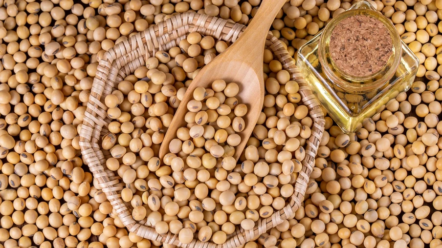 Grãos de soja Grãos de soja