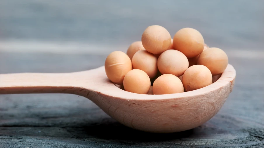 Grãos de soja Grãos de soja