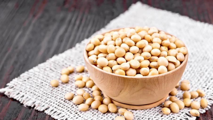 Grãos de soja Grãos de soja