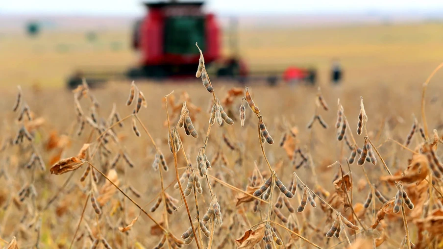 Colheita da soja Colheita da soja