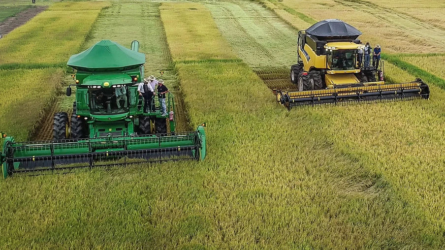 Duas colheitadeiras na lavoura colhendo arroz Duas colheitadeiras na lavoura colhendo arroz
