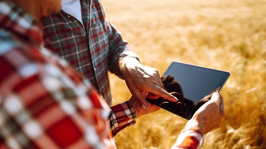 Agricultores em um campo de trigo dourado com um tablet nas mãos. Agricultores em um campo de trigo dourado com um tablet nas mãos.