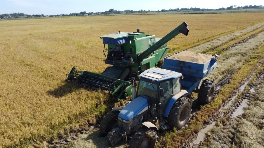 Colheitadeira descarregando arroz. Colheitadeira descarregando arroz.