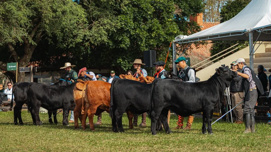 Evento ExpoBrangus 2025. Evento ExpoBrangus 2025.